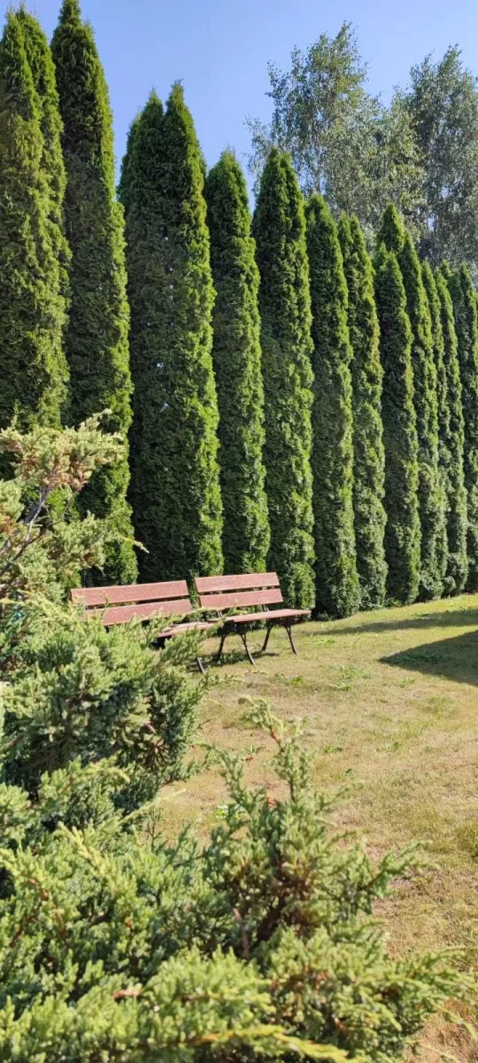 Wynajmę mieszkanie 1-pokojowe 32 m2 - Kołobrzeg