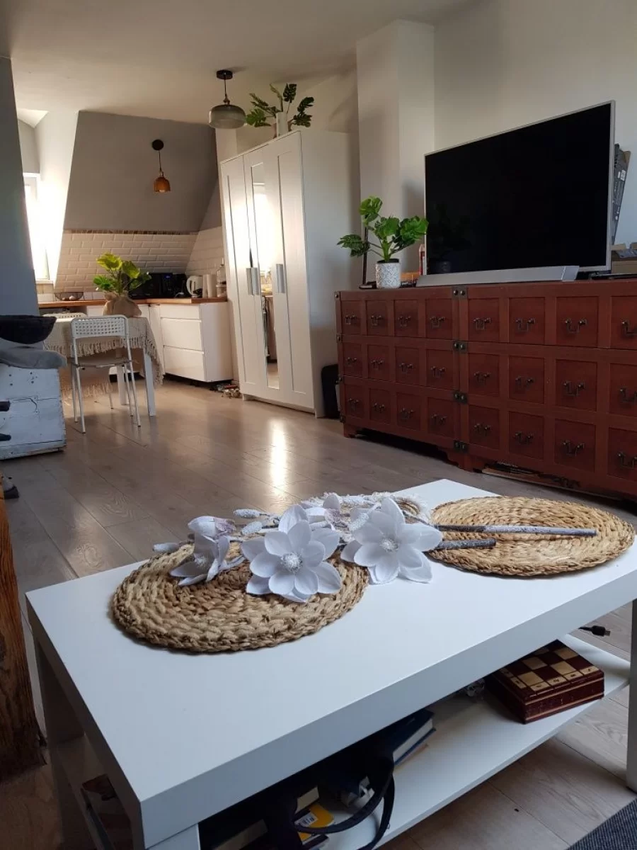 Wynajmę Mieszkanie z sypialnią na antresoli Bielsko Biała