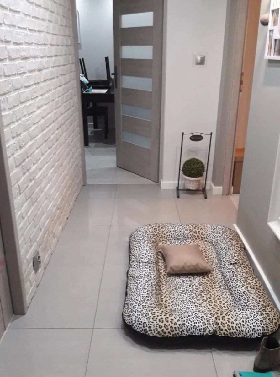 3 pokoje Wynajme piękne mieszkanie remoncie Szczecin