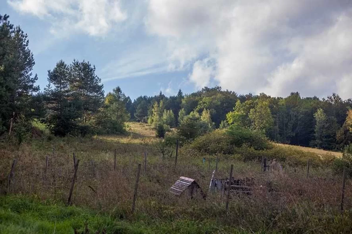 Sprzedam Dom na uboczu w Bieszczadach / Beskidzie Niskim