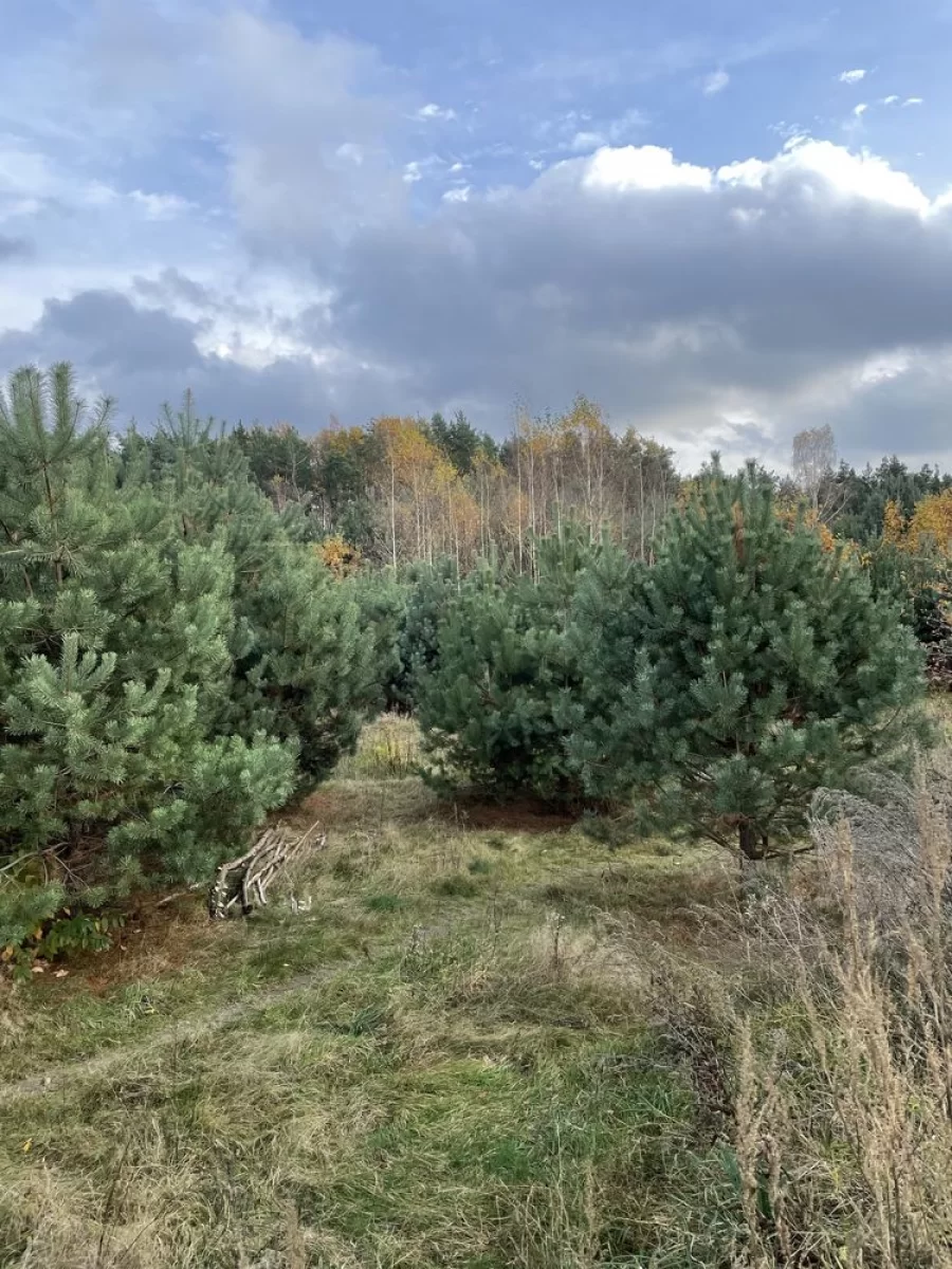 Sprzedam Działkę 1465 m2 z WZ, Adamowizna, Grodzisk Mazowiecki