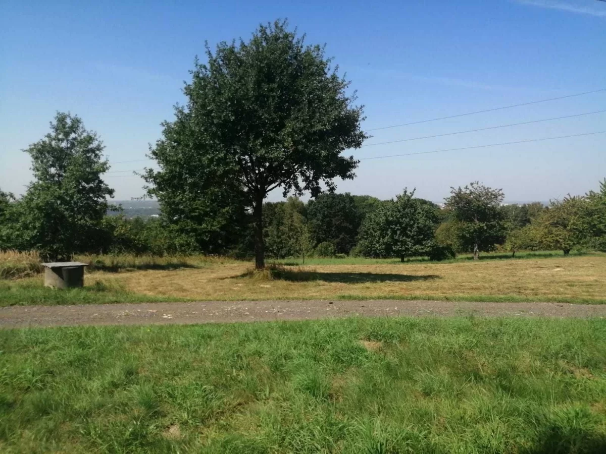 Sprzedam działkę 12 arów z pięknym widokiem na Rzeszów