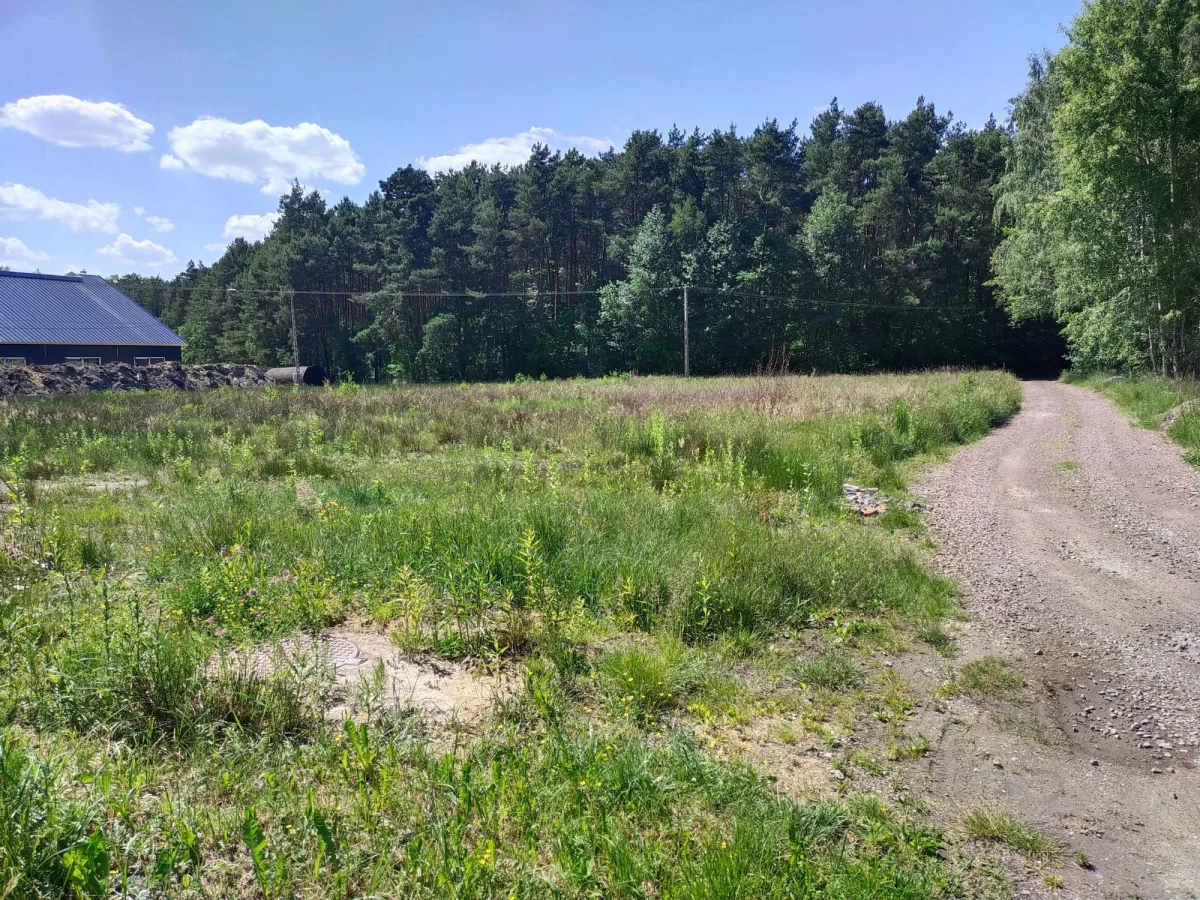 Sprzedam działkę pod Kielcami Kranów ładna działka pod lasem, 7 min od Kielc
