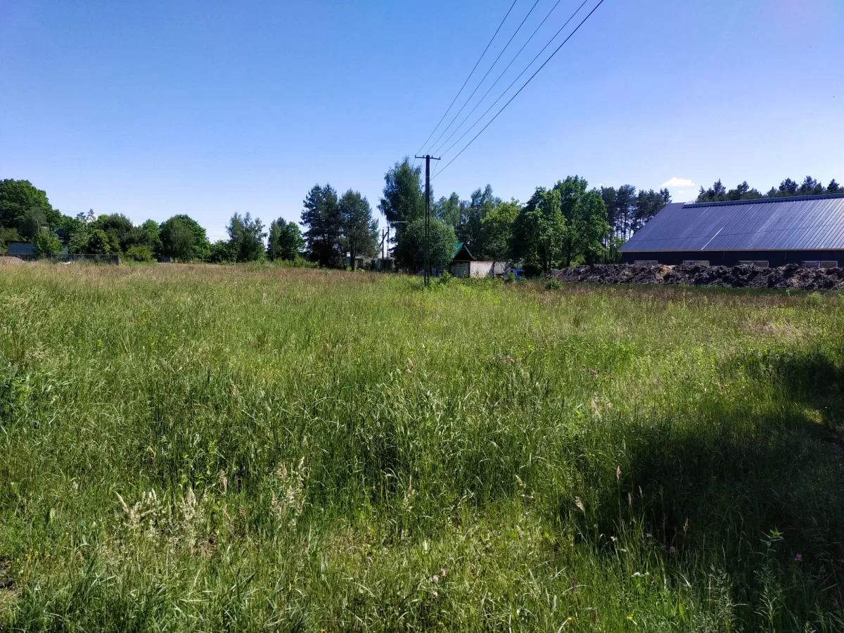 Sprzedam działkę pod Kielcami Kranów ładna działka pod lasem, 7 min od Kielc