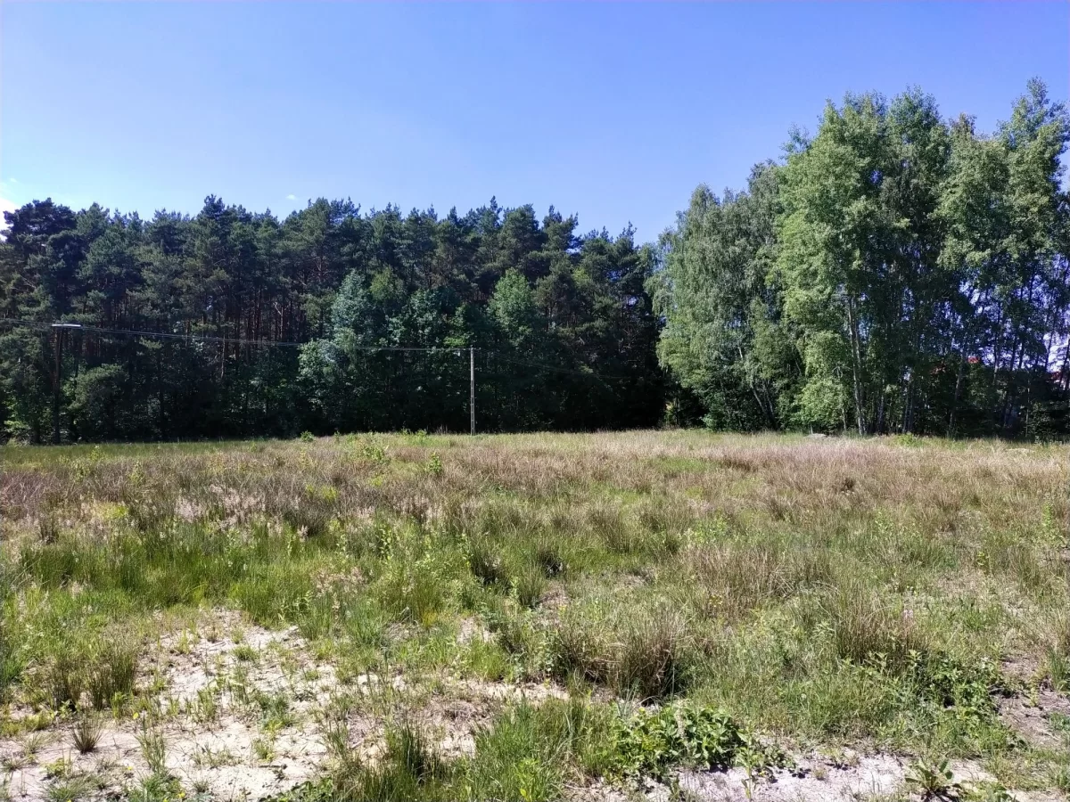 Sprzedam działkę pod Kielcami Kranów ładna działka pod lasem, 7 min od Kielc