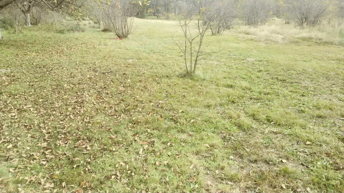 Sprzedam Działkę Krakowie ul. Mała Góra pod Krakowem