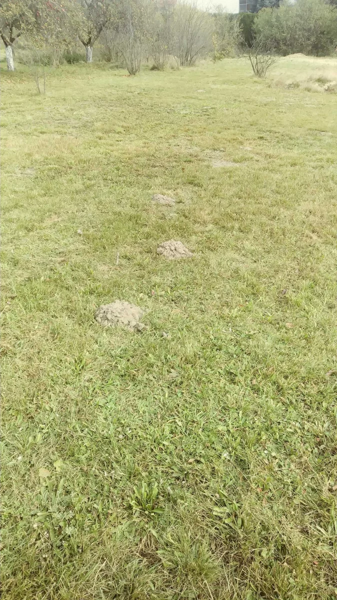 Sprzedam Działkę Krakowie ul. Mała Góra pod Krakowem
