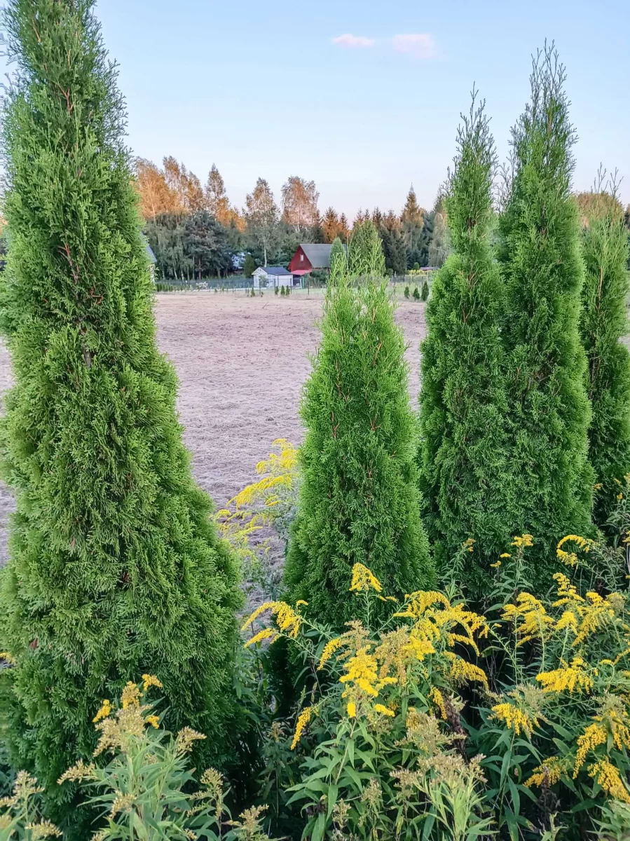 Sprzedam działkę budowlaną 1000m2 lub 2200m2