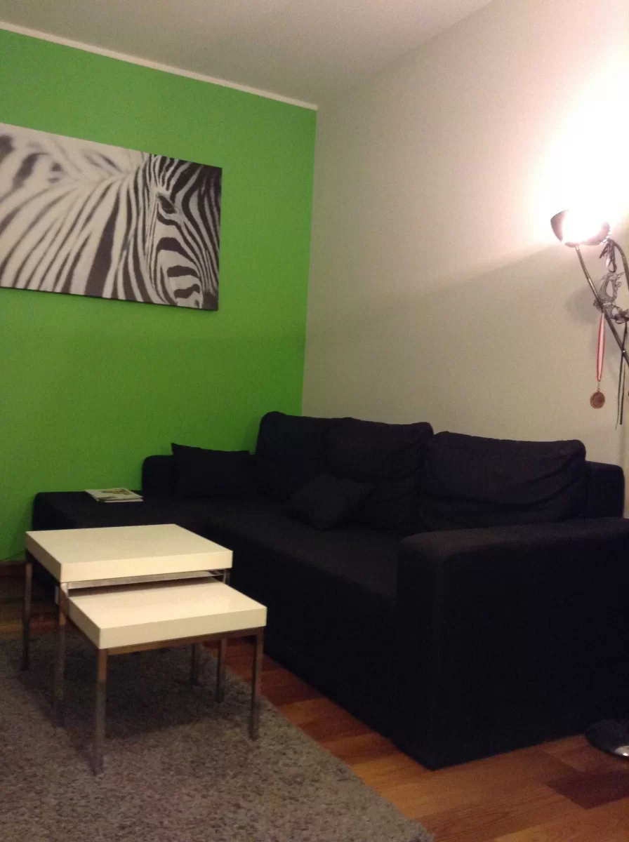2-pokojowe umeblowane mieszkanie, Centrum Pruszkowa 41 m2 bezpośrednio