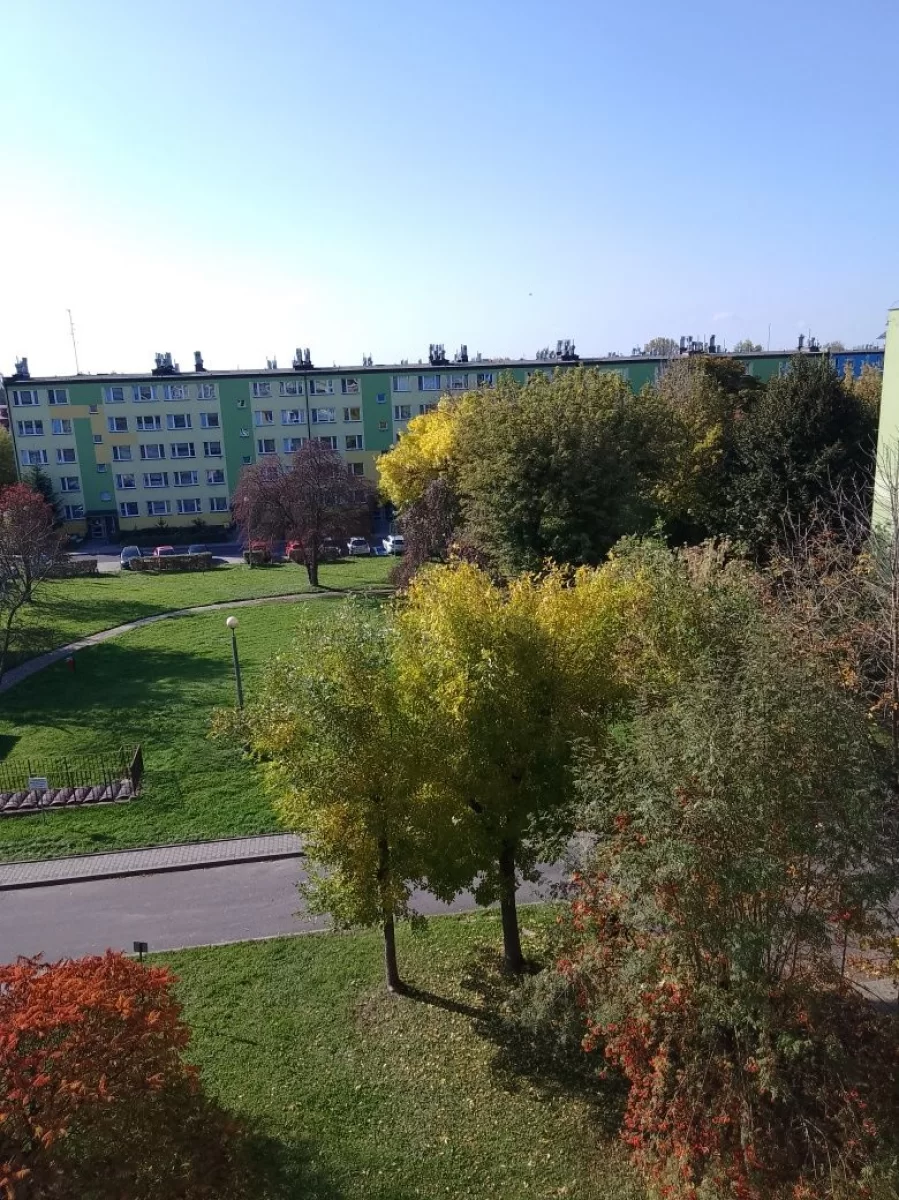 Sprzedam 3 pokojowe mieszkanie.Osiedle Zasole.