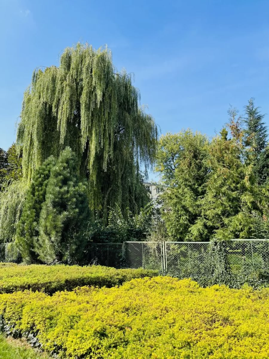 Mieszkanie 65 m2,ul.Leśna 13, 3 pokoje,4 piętro, balkon,piwnica,jasne
