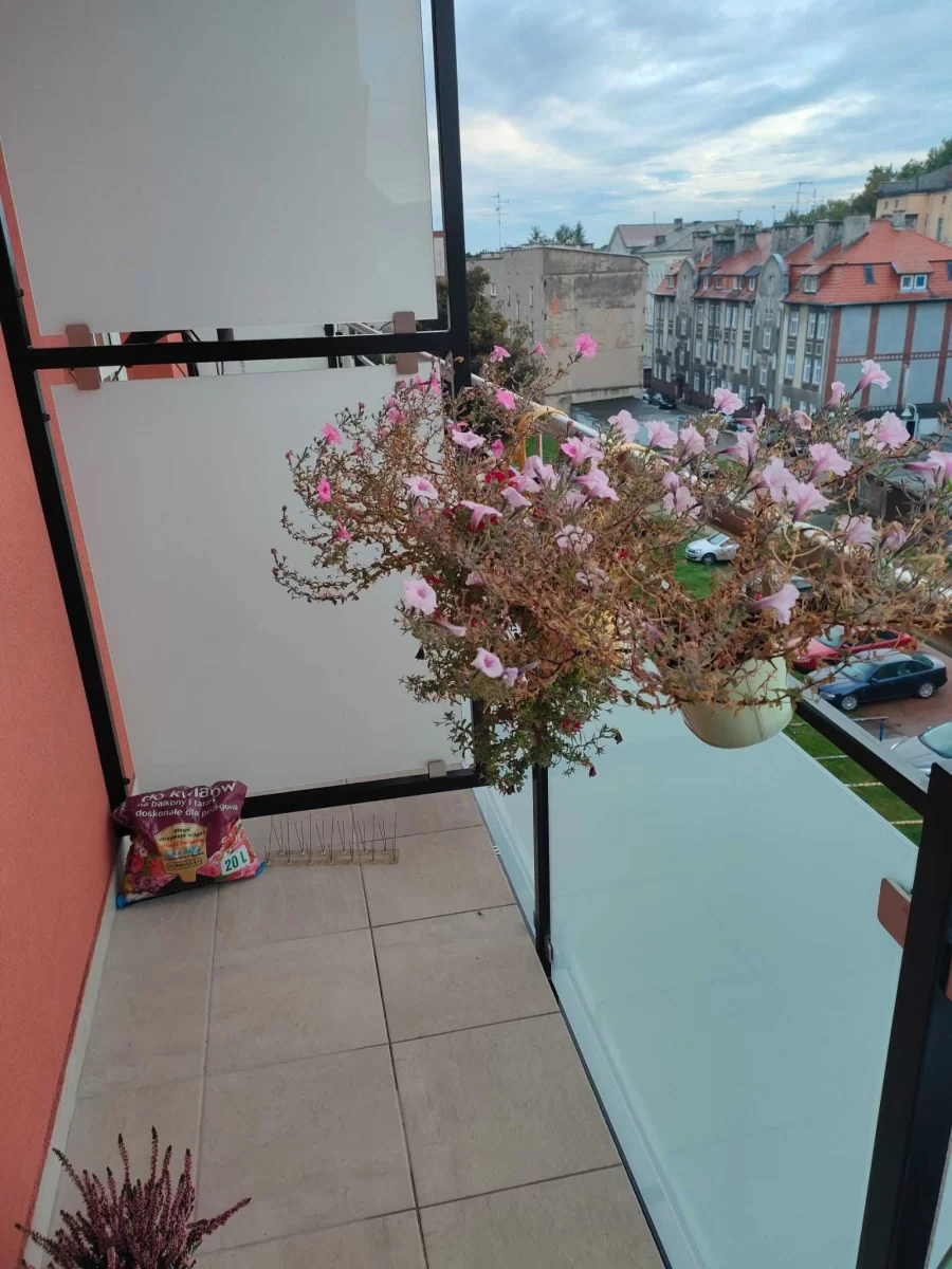 Kawalerka w centrum miasta