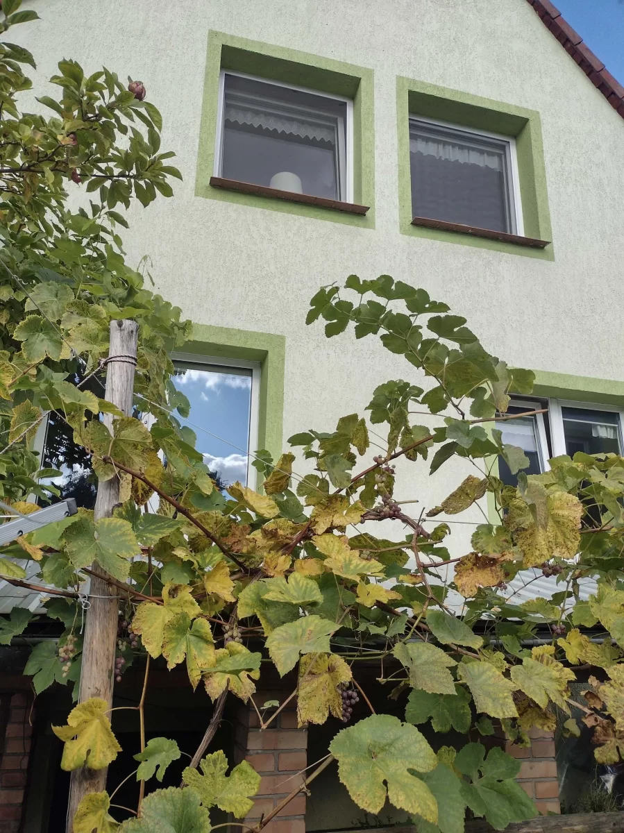 Dom 140m2 w Wałczu sprzedam lub zamienię na mieszkanie