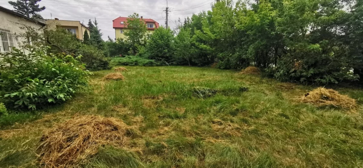 Łomianki dom na ładnej działce, centrum
