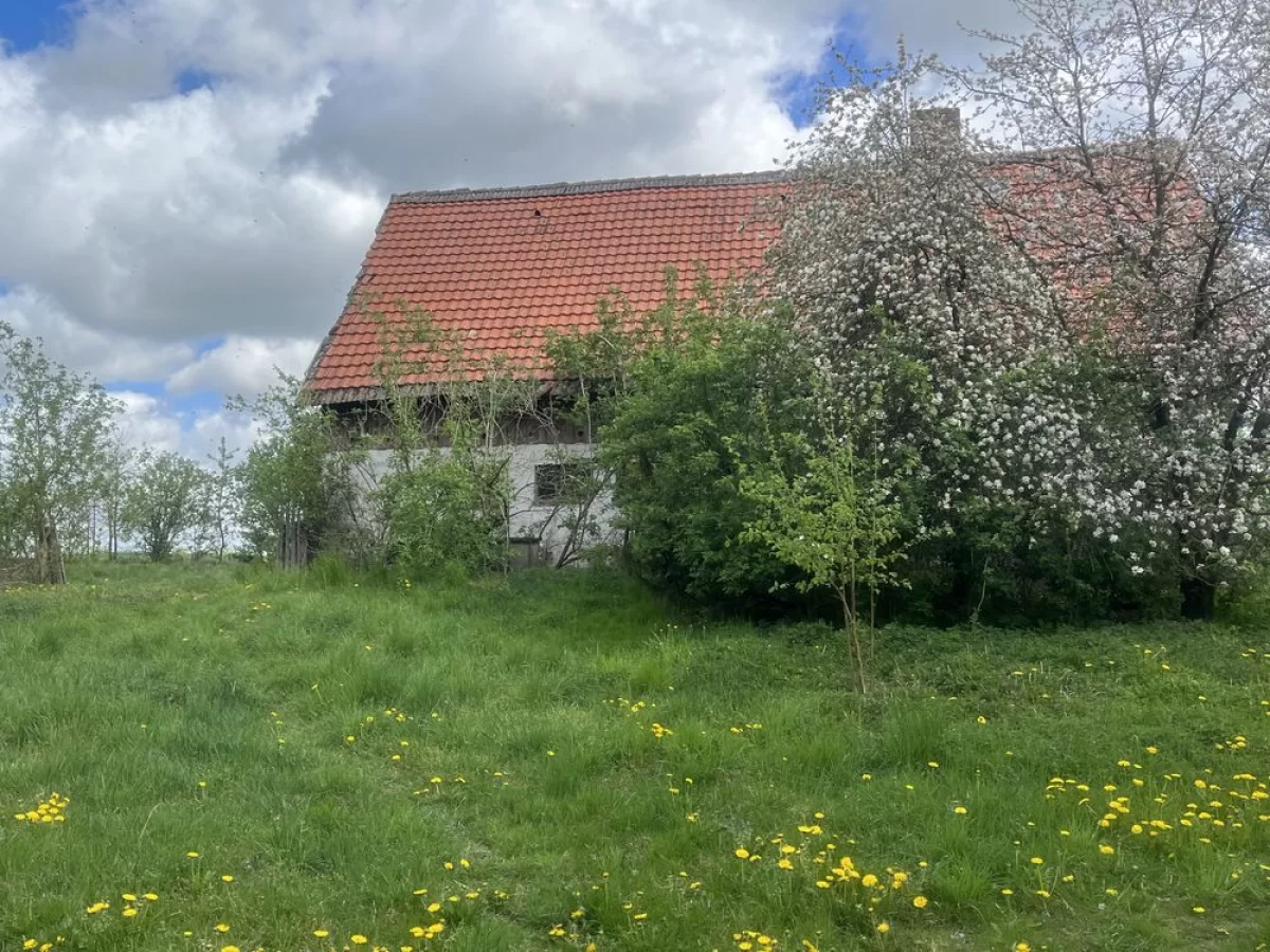 Dom na wsi z ziemia 2.6 hektara Przystawy