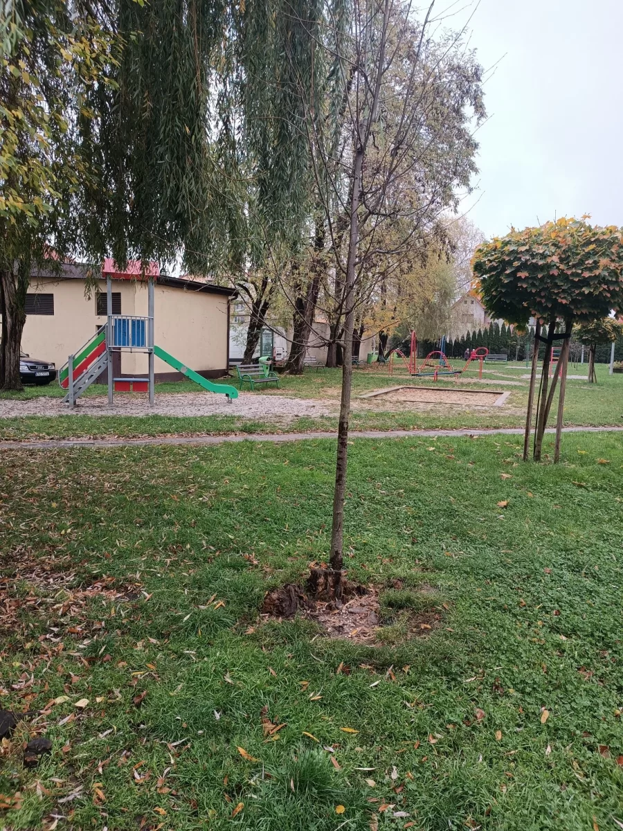 Wynajmę mieszkanie 2 pokoje 4 piętro Al. Wolności 45m2 centrum miasta