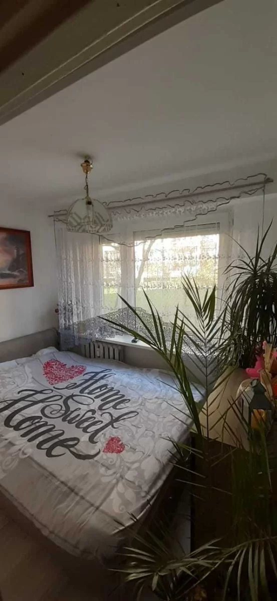 Bezpośrednio 3pok 50m2 parter Kleeberga zaraz obok parku i galerii
