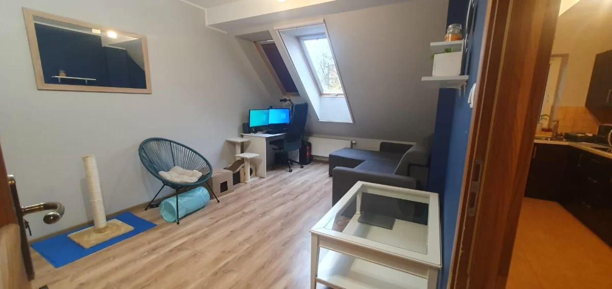 Mieszkanie 2 pokoje od 5 grudnia