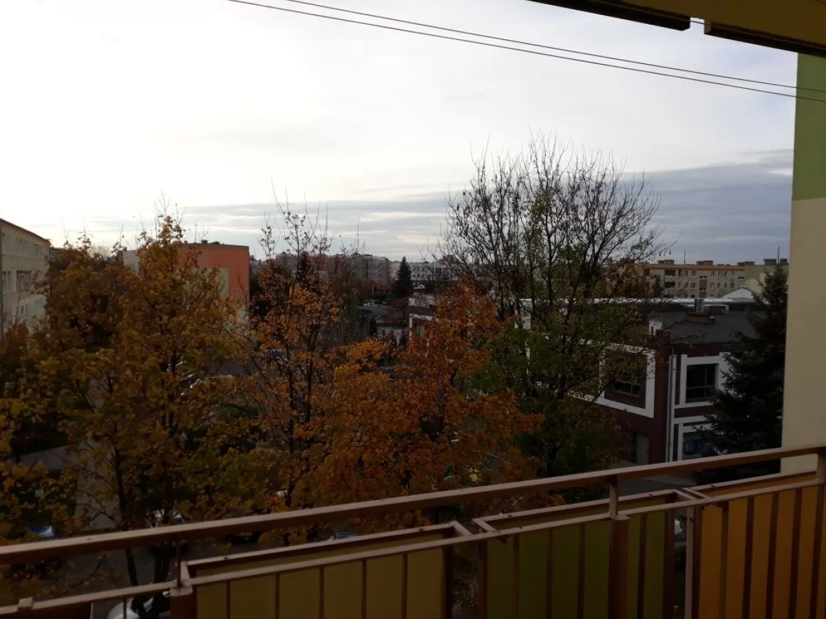Wynajme 3 pok. 59m2 Mieszkanie 3 pietro