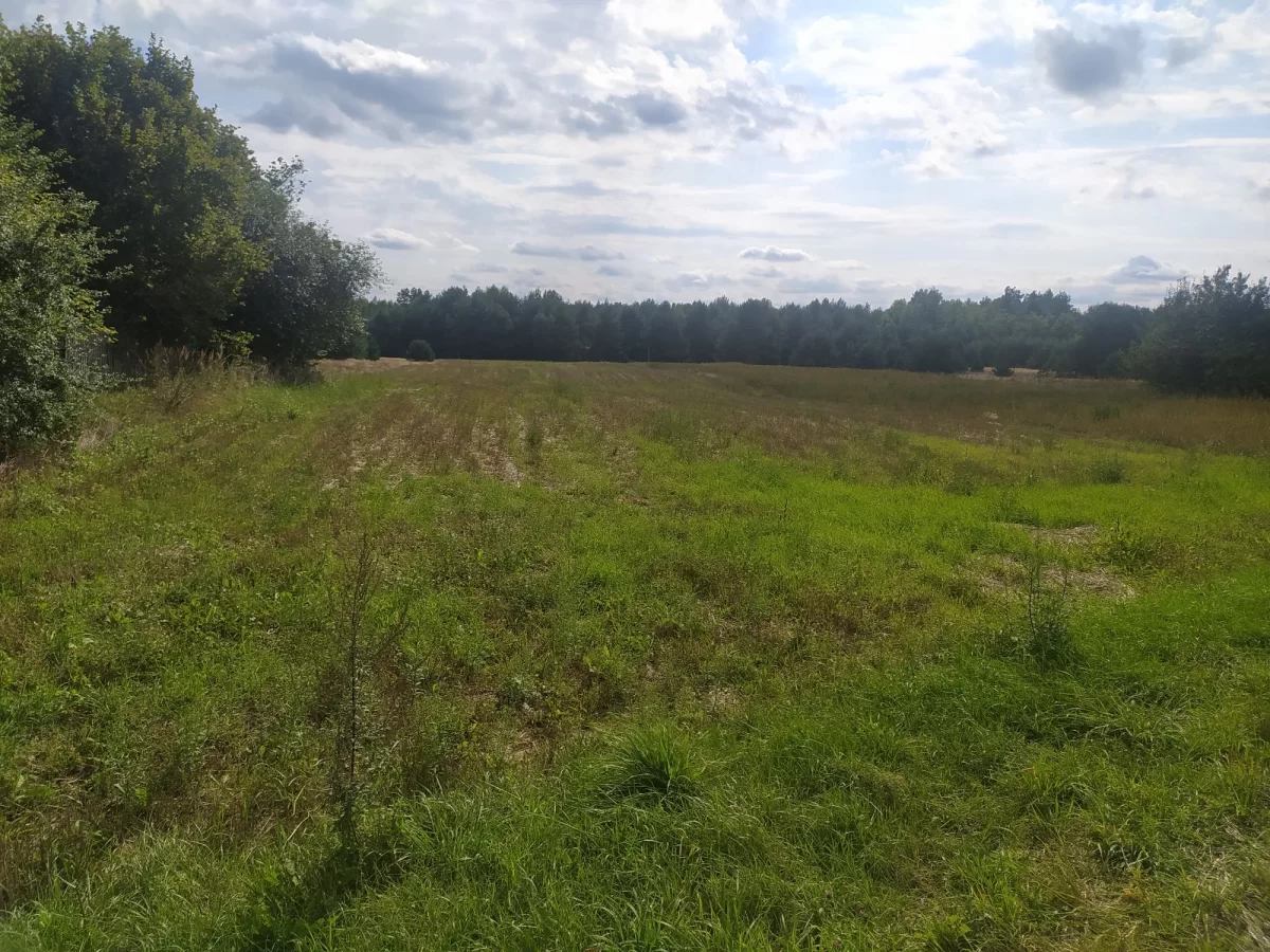 Sprzedam działkę budowlaną Skrajniwa