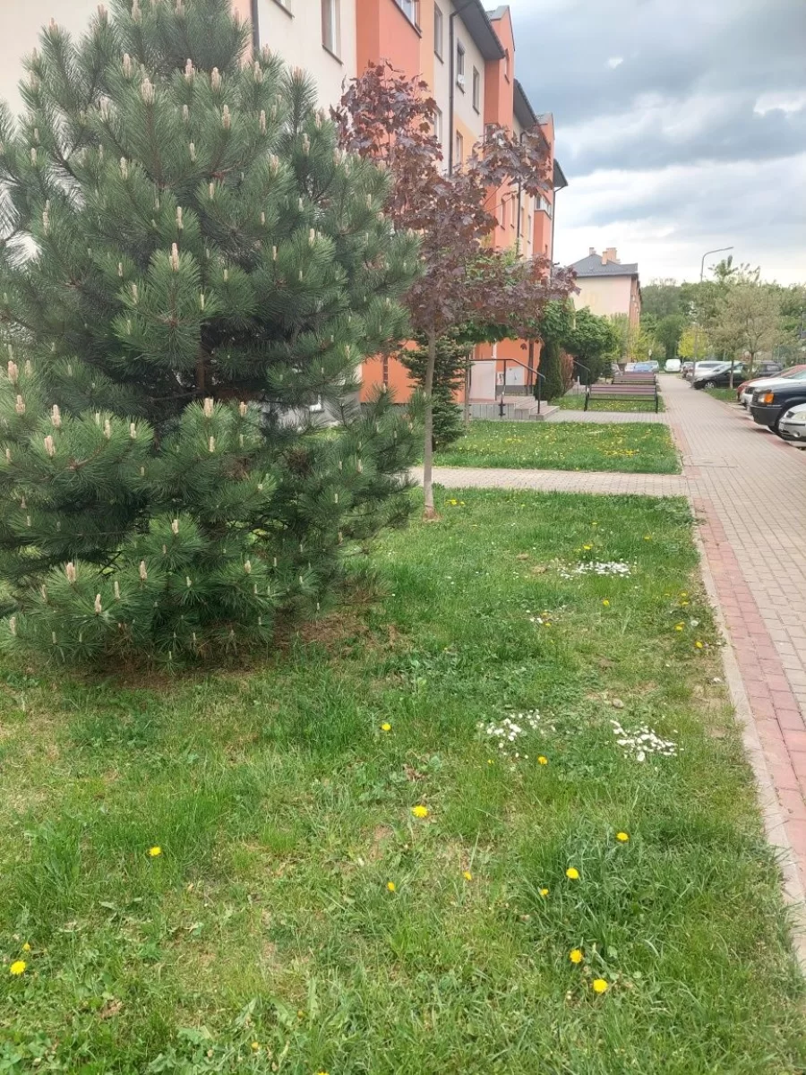 Wynajmę mieszkanie w Krośnie