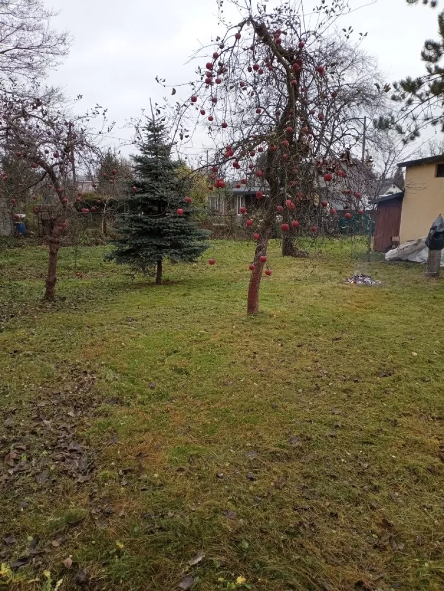 Sprzedam działkę rekreacyjną ROD
