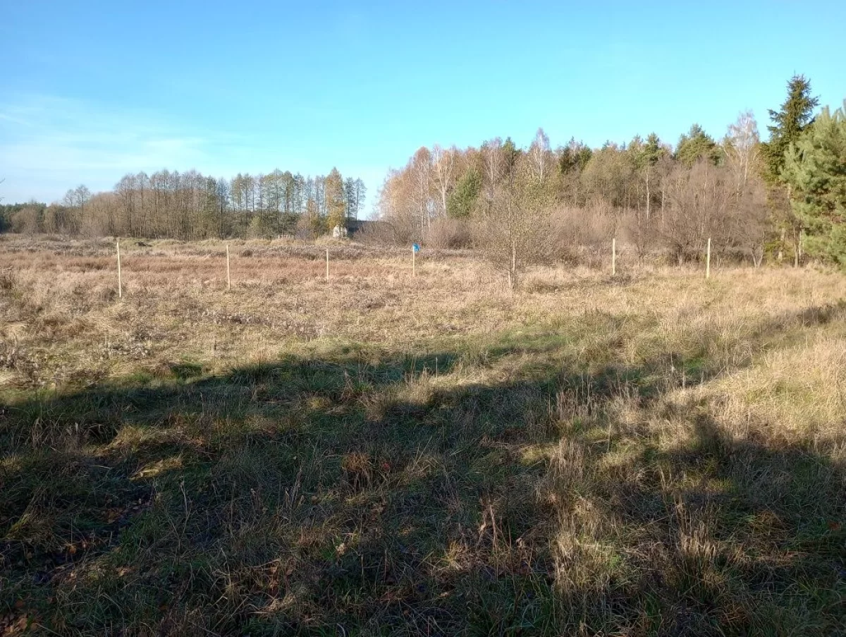 Sprzedam działkę budowlaną w Zamościu