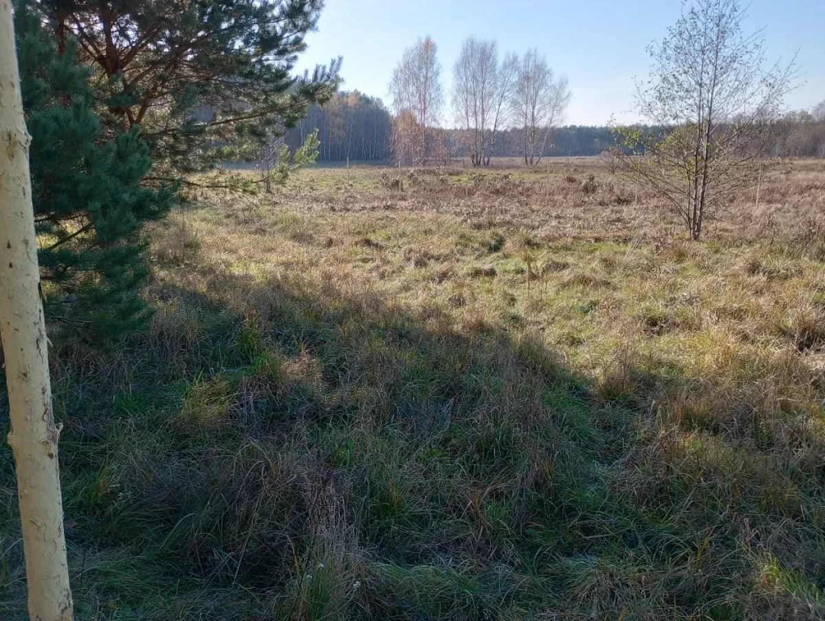 Sprzedam działkę budowlaną w Zamościu