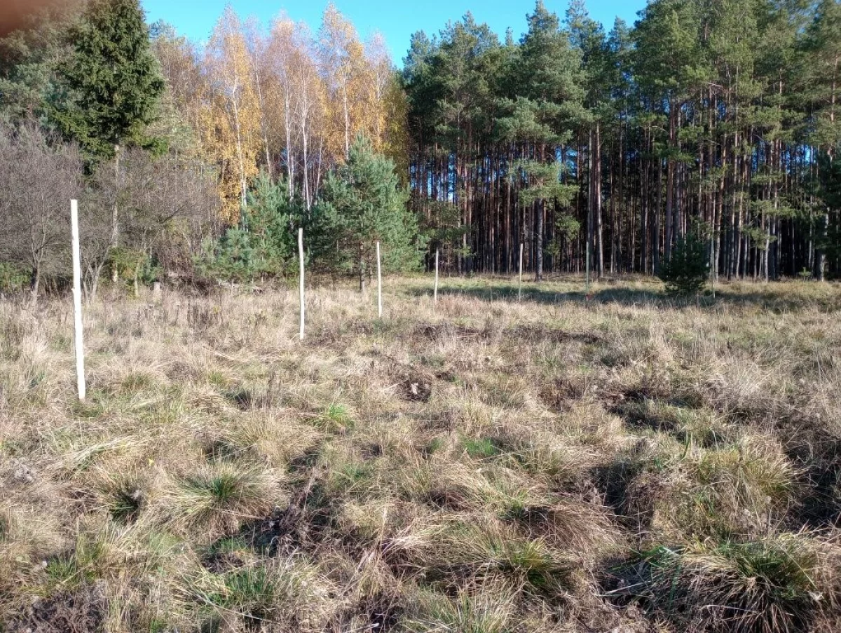 Sprzedam działkę budowlaną w Zamościu