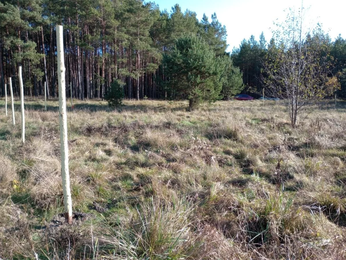 Sprzedam działkę budowlaną w Zamościu
