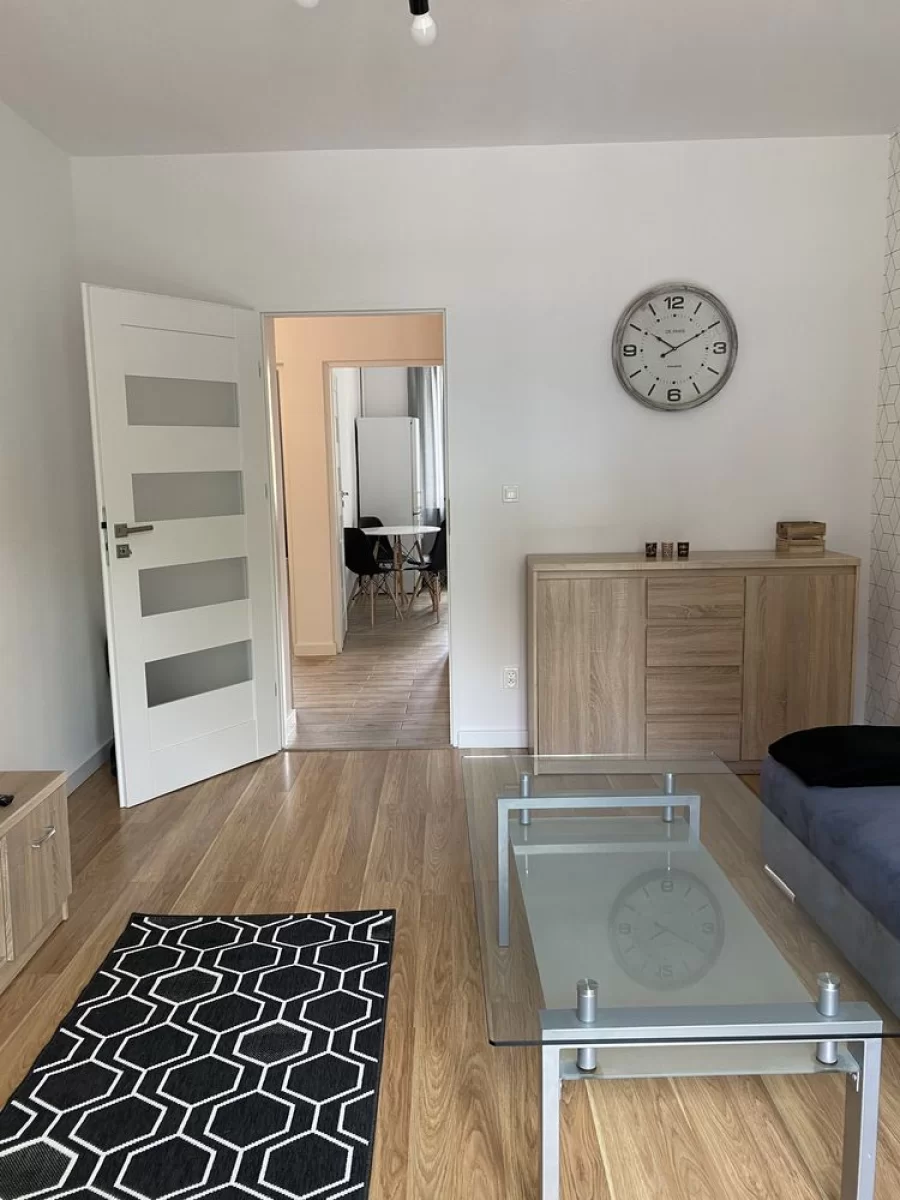 Wynajmę Mieszkanie 2 pokoje/ 47 m2, centrum miasta zielona góra