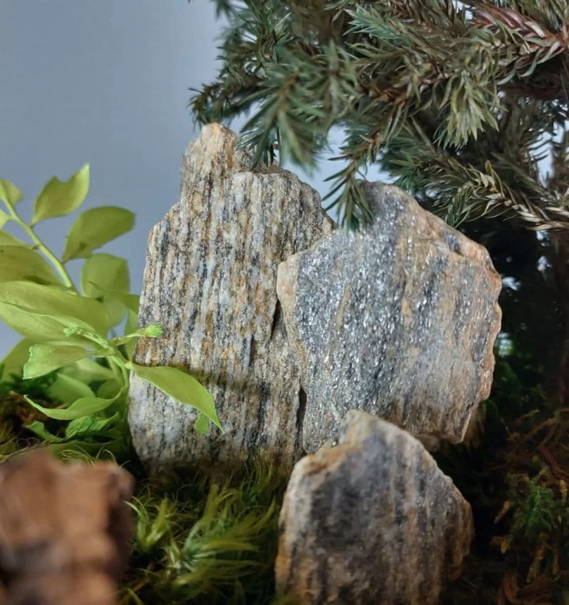 Świąteczna Promocja od 25% do 40% rabatu - Sonecco Art & Design | Zielona Sztuka