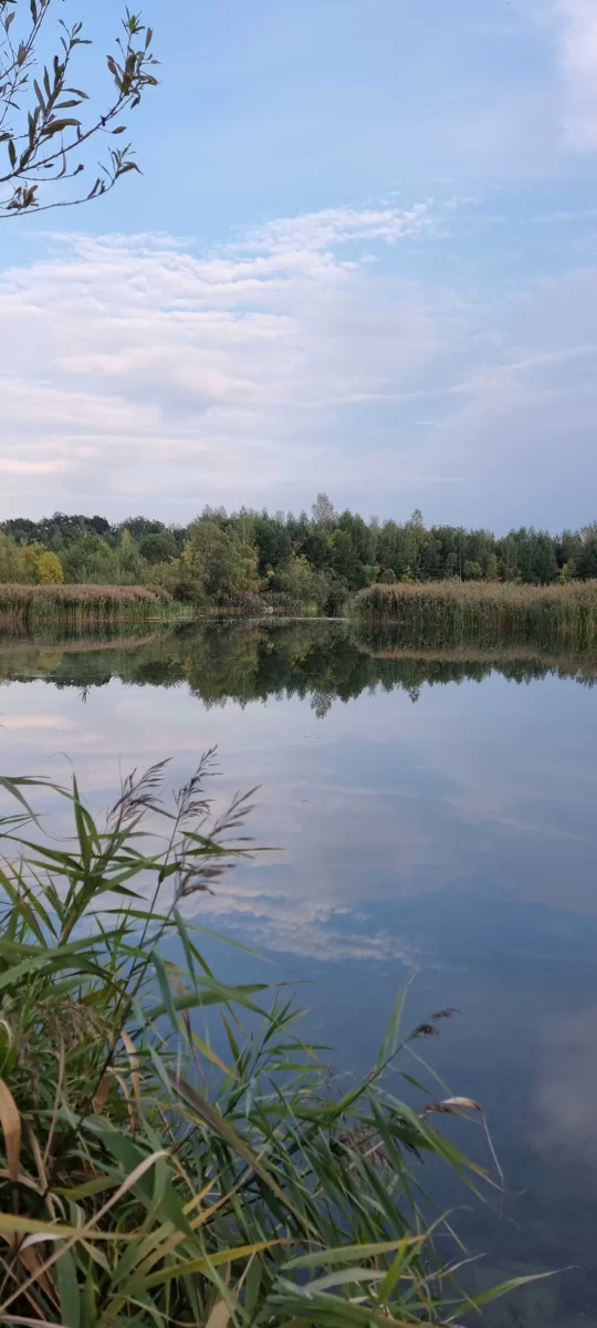 Sprzedam działkę Własna linia brzegowa plaża rzeka las JEZIORO Wrocław BOLESŁAWICE
