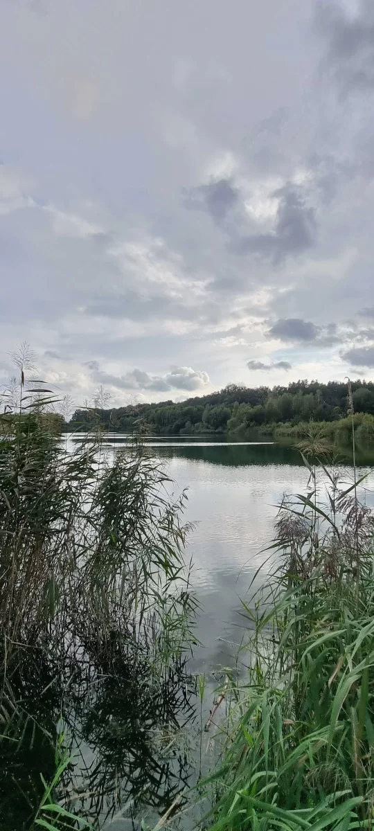Sprzedam działkę Własna linia brzegowa plaża rzeka las JEZIORO Wrocław BOLESŁAWICE