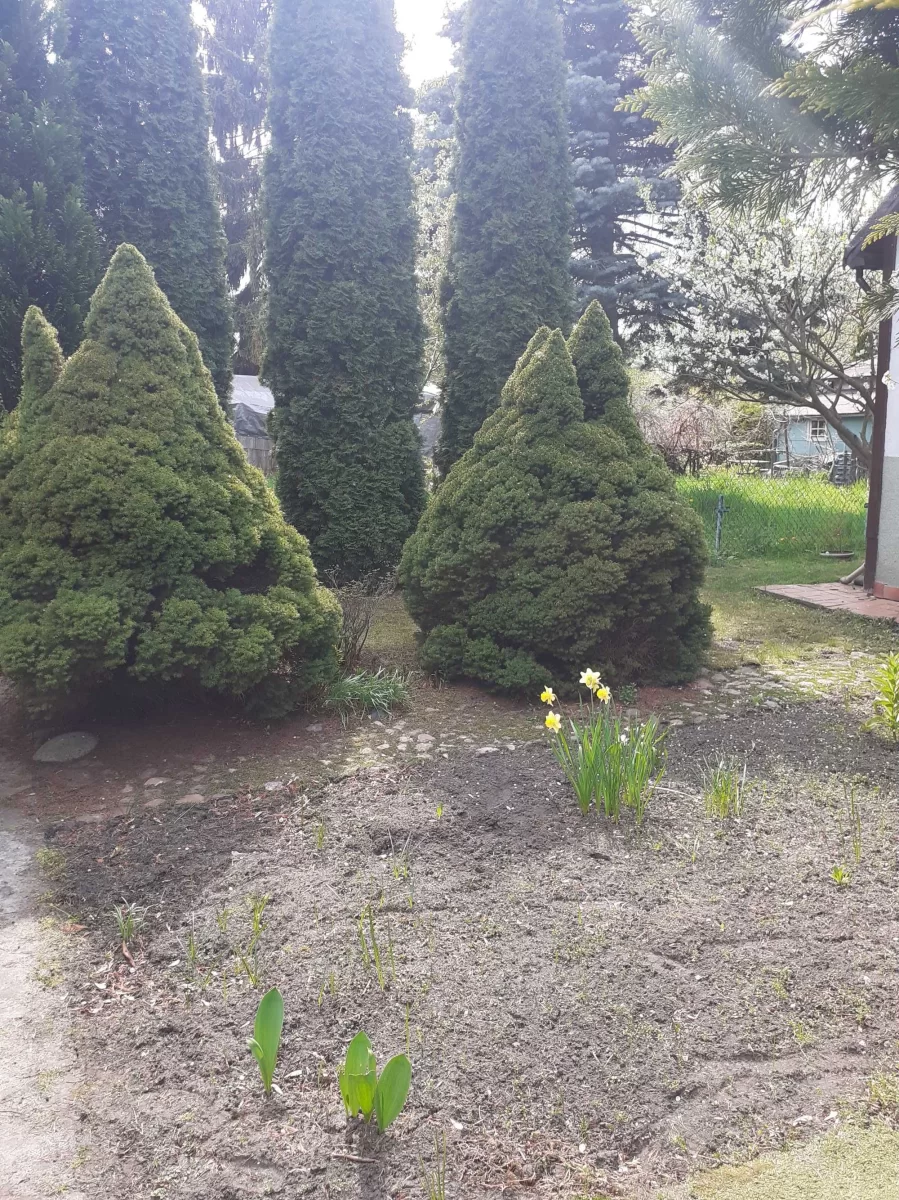 Działka ogródek działkowy warszawa na Paluchu