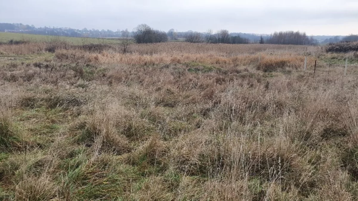 Sprzedam działkę 3 Km od Krakowa, Tomaszowice pow. 1100 m2