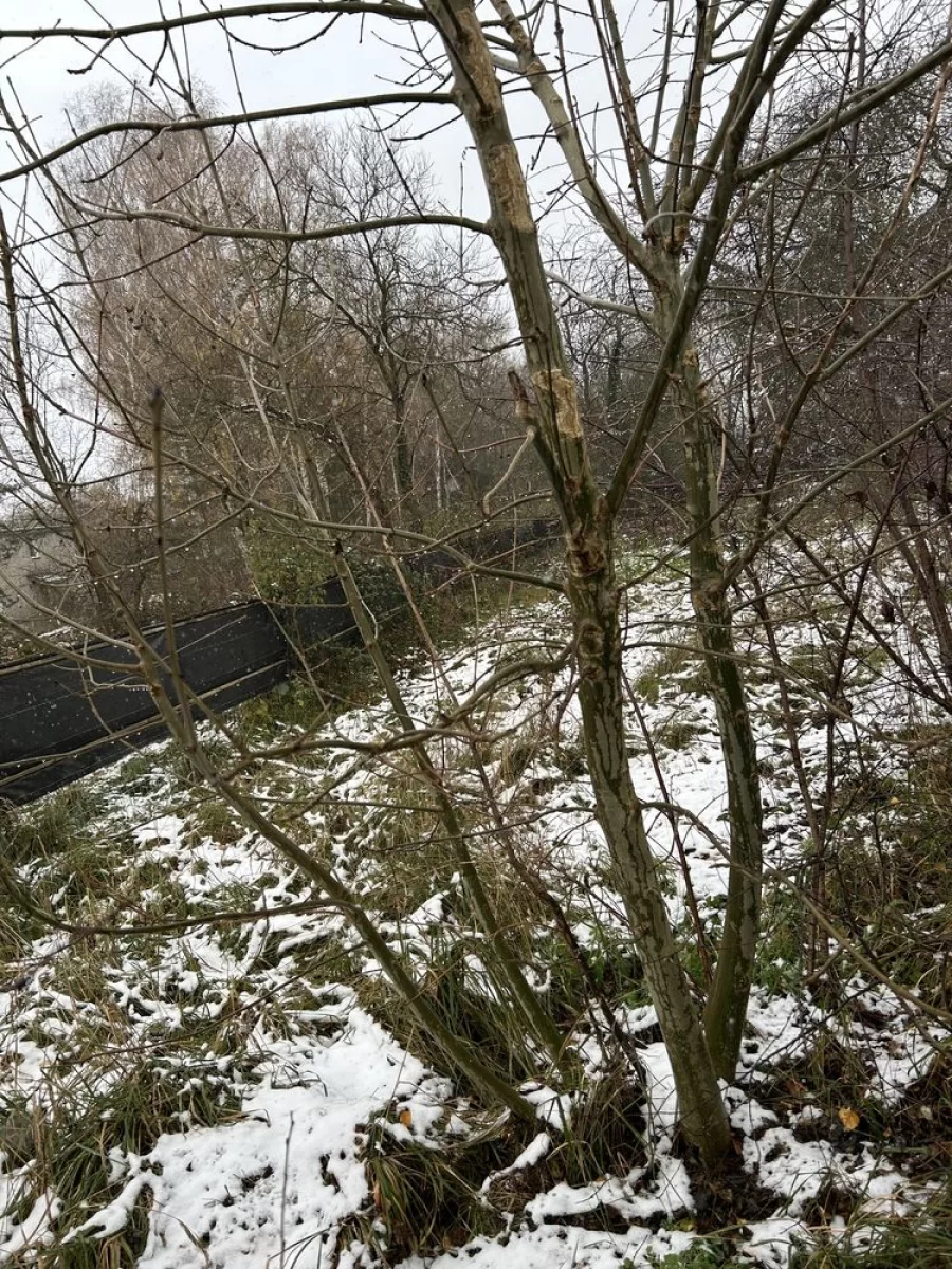 Sprzedam działkę budowlaną Szczecin
