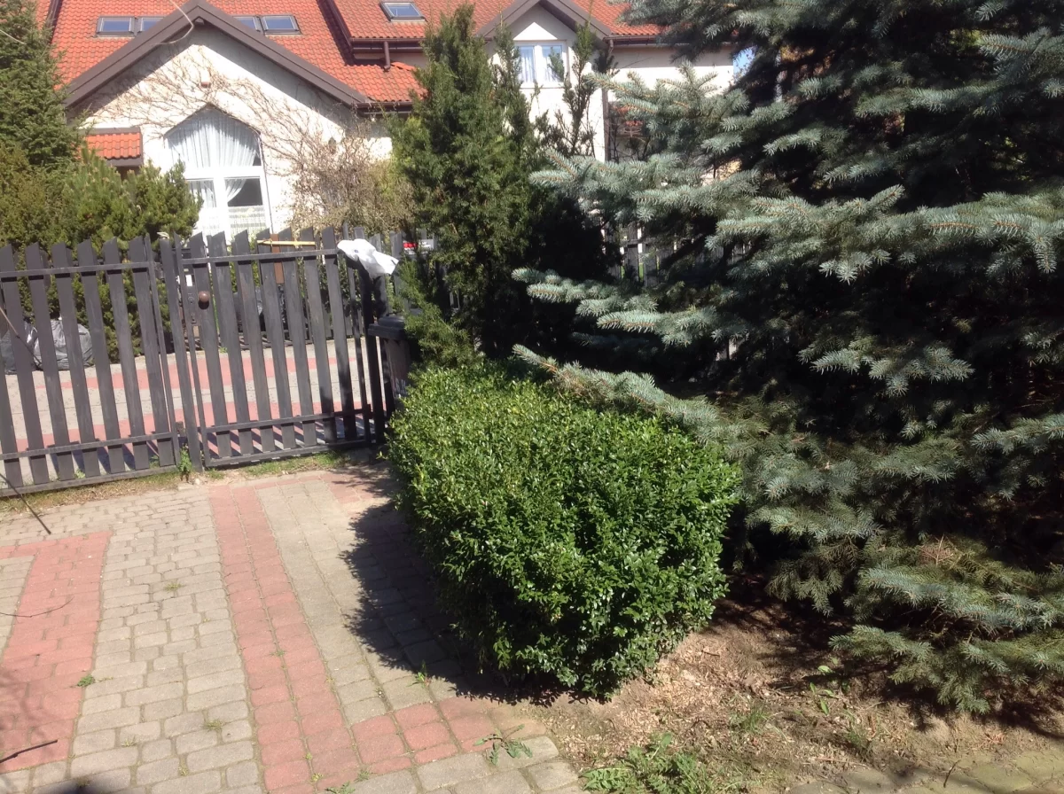 Wynajmę segment