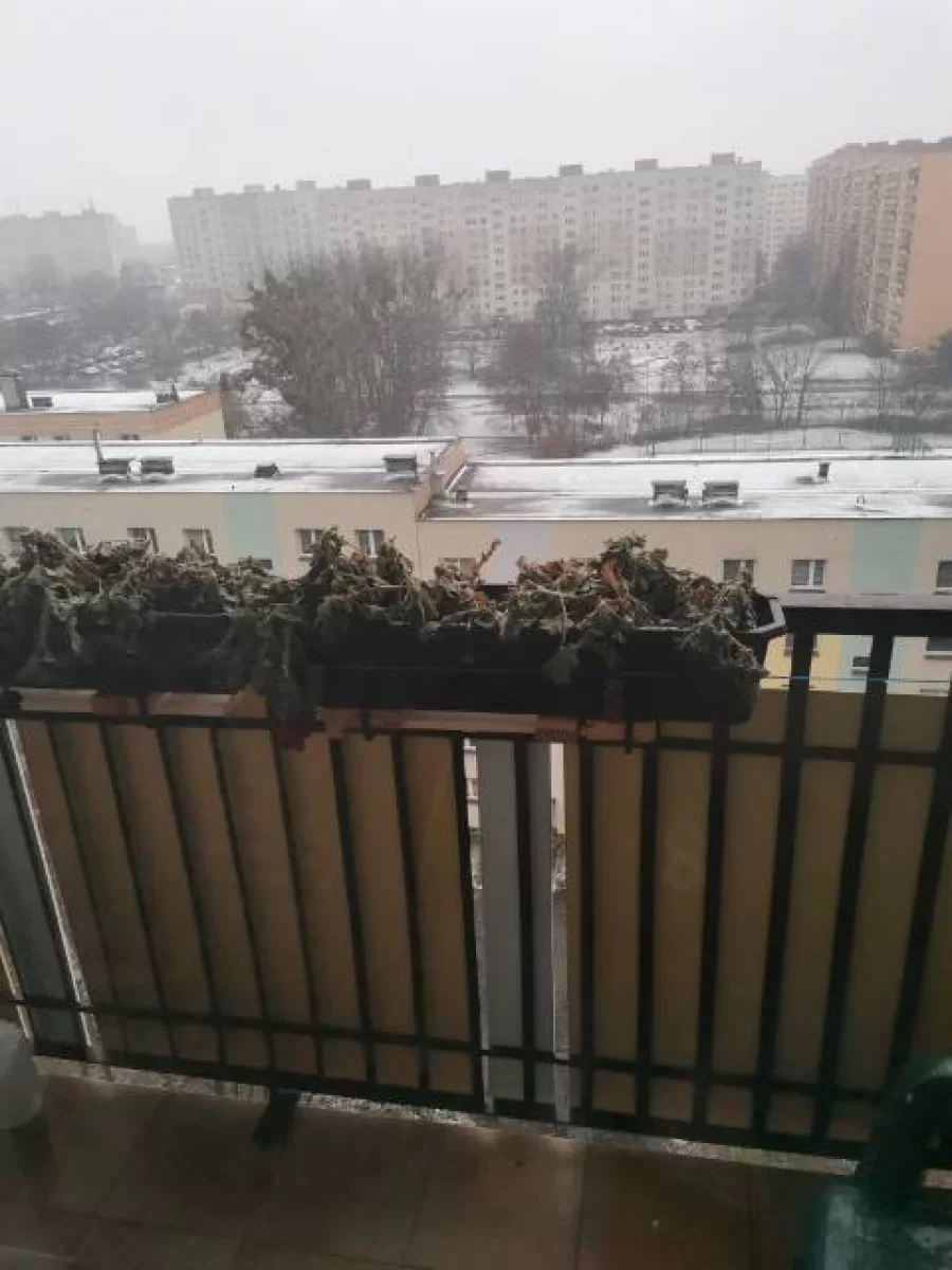 Śliczna kawalerka USTRONIE