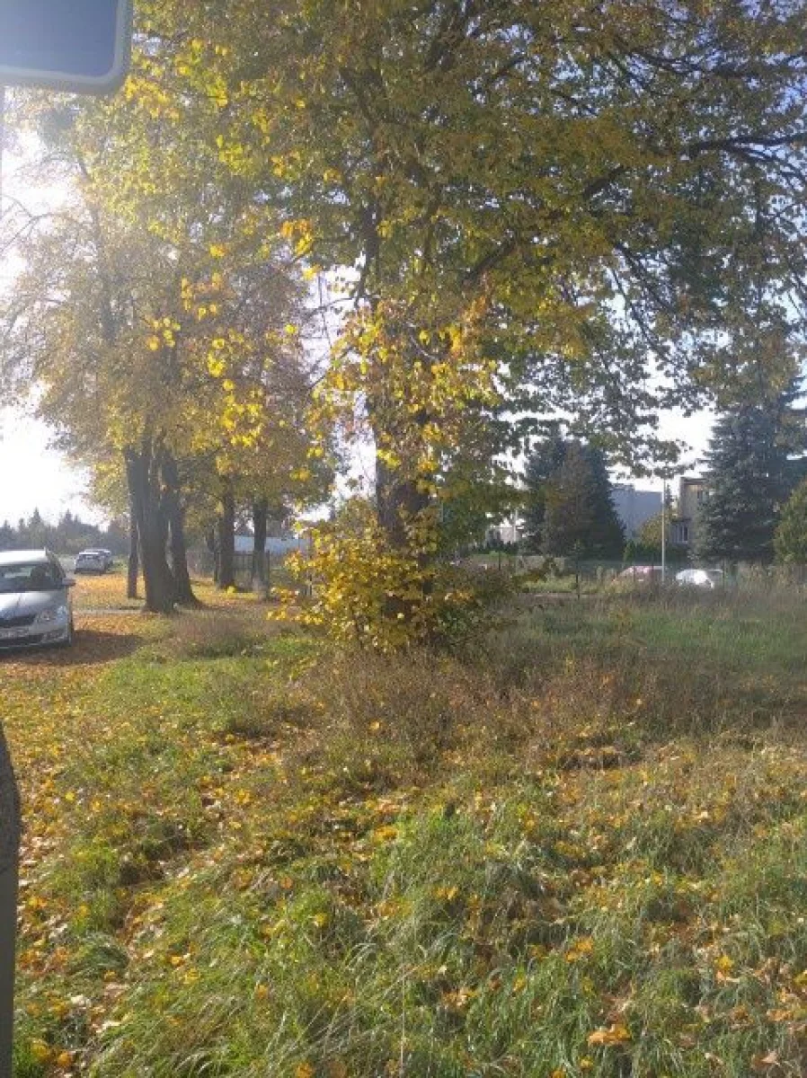 Sprzedam działke Poznań Jeżyce
