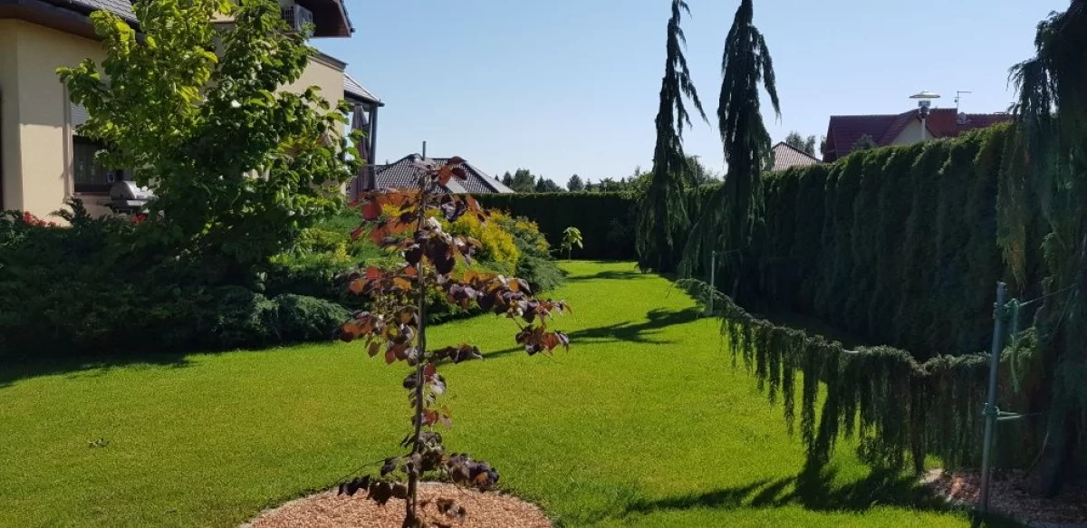 Sprzedam Dom jednorodzinny okol. Wrocław Łozina