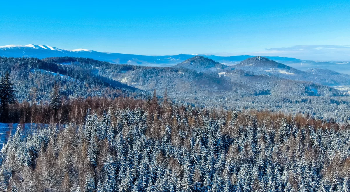 Ferie 2022 Góry/Dom 8 os,/Jacuzzi/Sauna/Karkonosze- ostatnie terminy