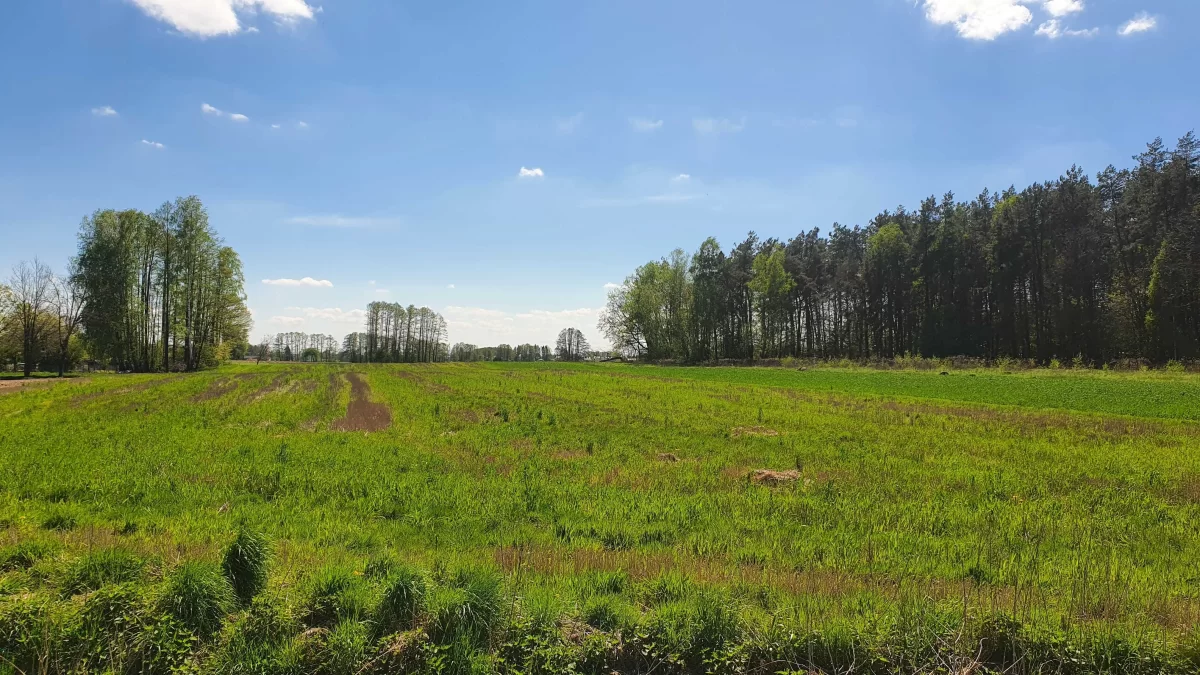 Sprzedam działkę budowlaną 15 km od Siedlec - Zbuczyn