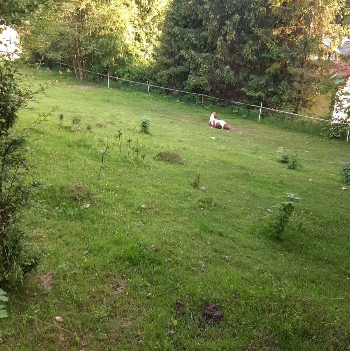 Sprzedam Działka budowlana Wisła