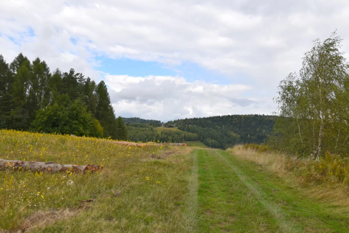 Bukowiec gm. Korzenna działka 1,06 ha