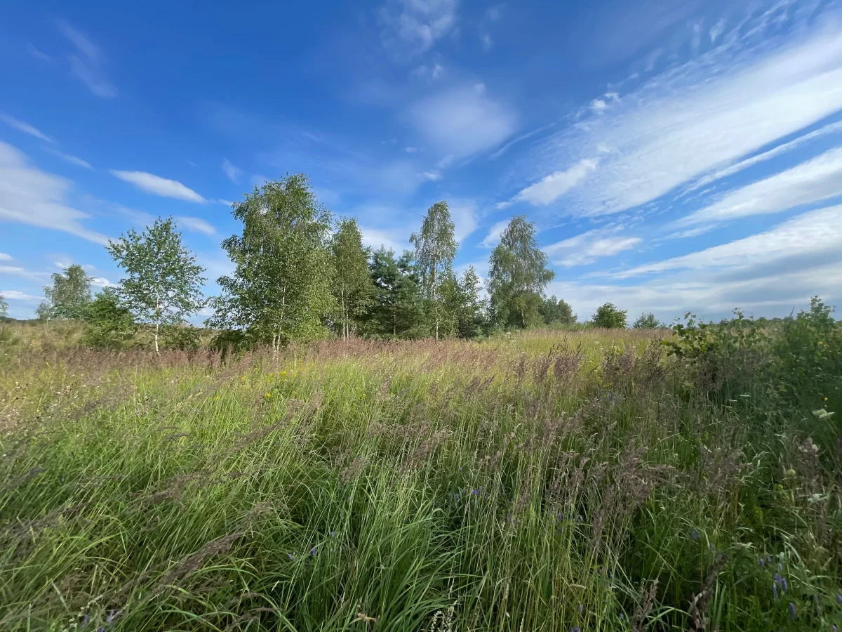 Sprzedam Działka 35 km od Morza Bałtyckiego Słupsk