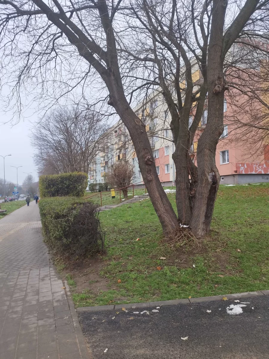 Sprzedam mieszkanie 3 pokojowe Gdynia