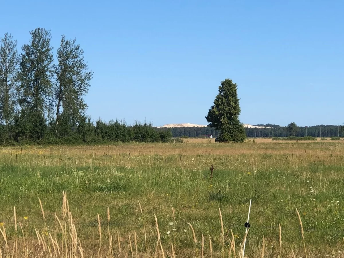 Smołdziński Las - działki budowlane nad morzem