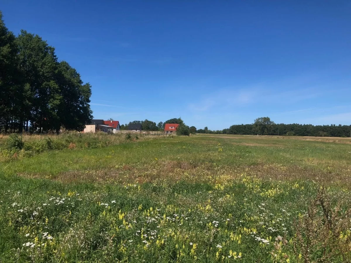Smołdziński Las - działki budowlane nad morzem
