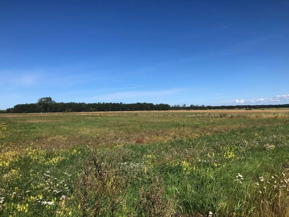 Smołdziński Las - działki budowlane nad morzem
